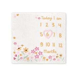 Gerber Baby Girl 2 Piece Monthly Milestone Blanket And Frame Set Yellow Princess